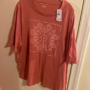 🌸 NWT American Eagle oversized t shirt. Size XXL!